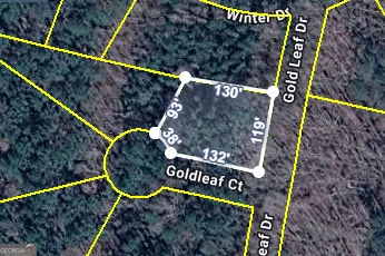 0 Gold Leaf DR Grantville, GA 30220