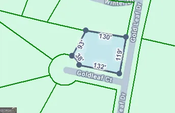 0 Gold Leaf DR Grantville, GA 30220