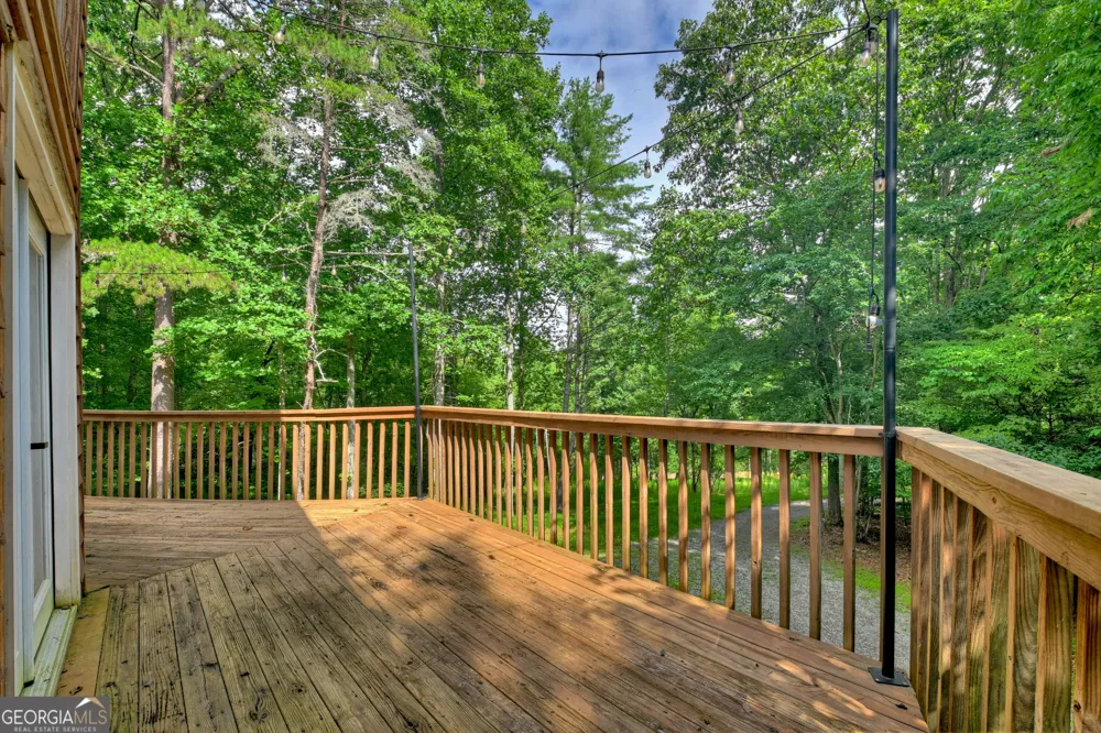 2 Watson Gap RD Mineral Bluff, GA 30559
