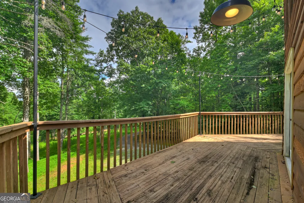 2 Watson Gap RD Mineral Bluff, GA 30559