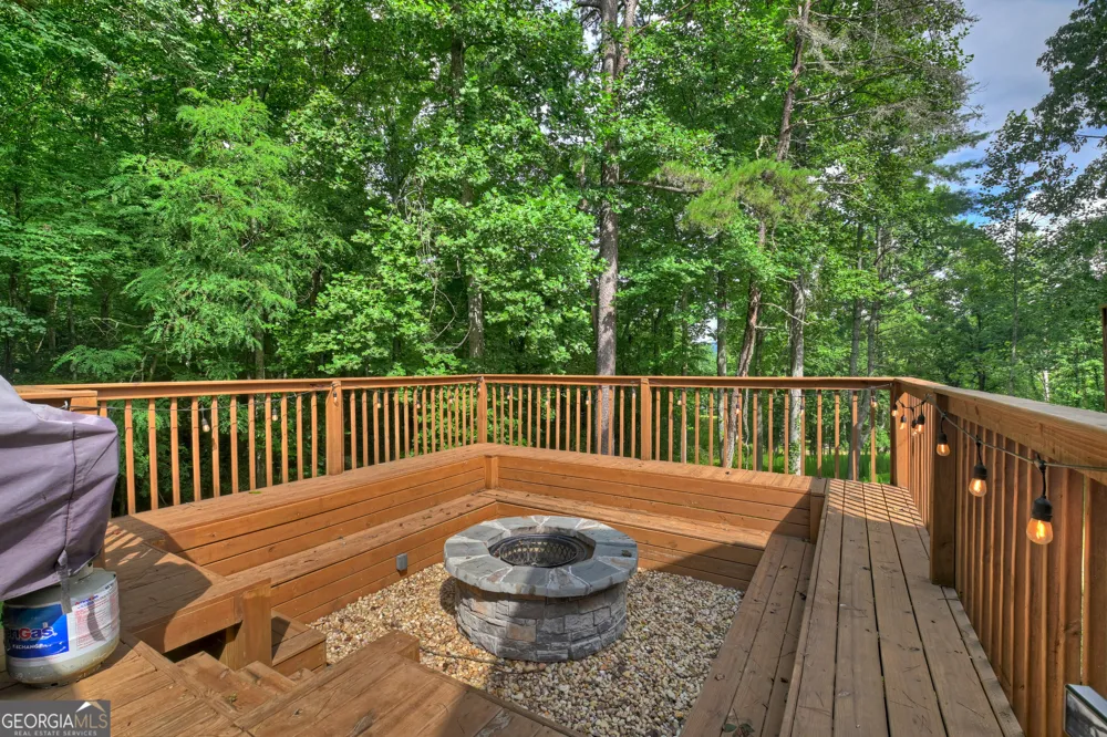 2 Watson Gap RD Mineral Bluff, GA 30559