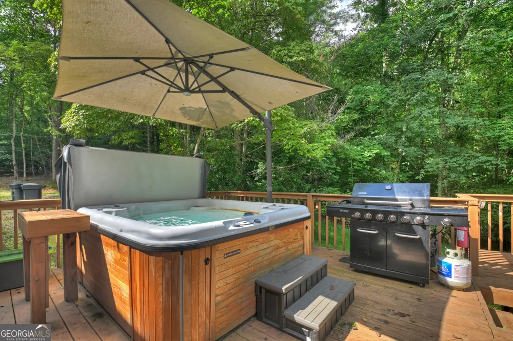 2 Watson Gap RD Mineral Bluff, GA 30559