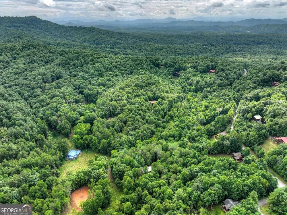 2 Watson Gap RD Mineral Bluff, GA 30559