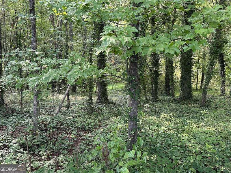 0 Boxer LN Cumming, GA 30028
