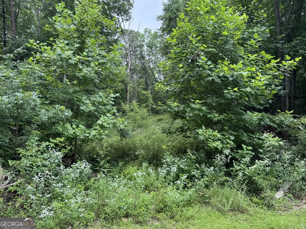 0 Owltown RD Ellijay, GA 30536