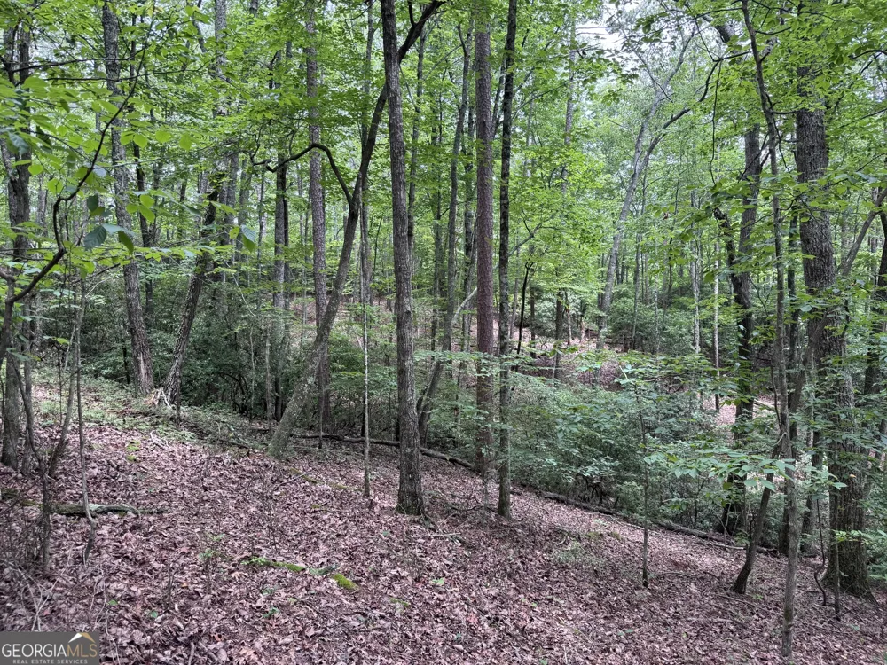 0 Owltown RD Ellijay, GA 30536