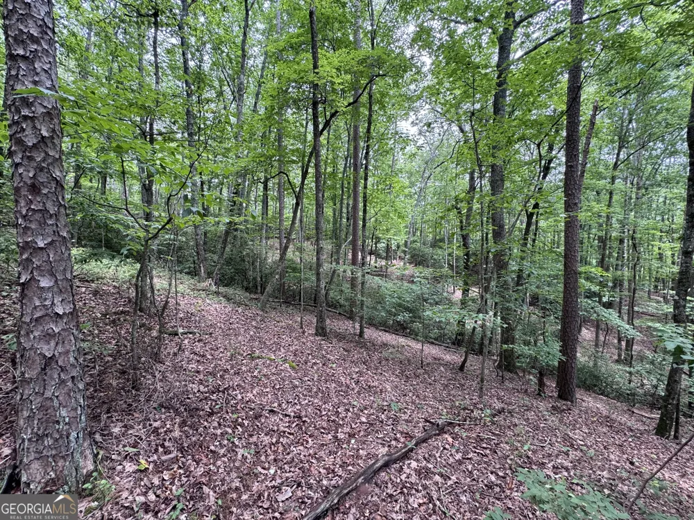 0 Owltown RD Ellijay, GA 30536