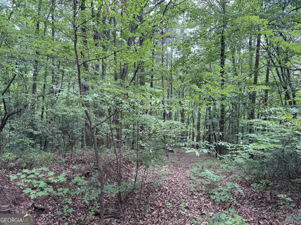 0 Owltown RD Ellijay, GA 30536