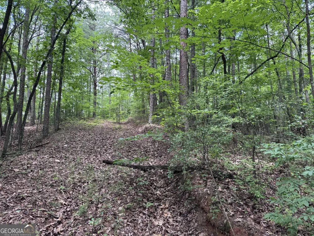 0 Owltown RD Ellijay, GA 30536