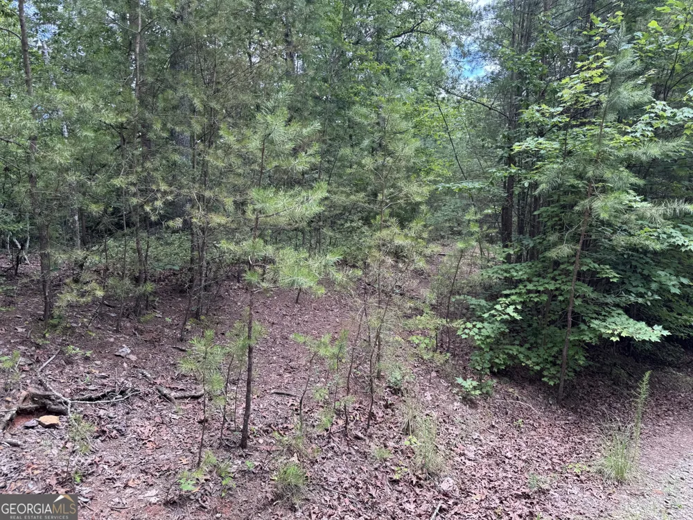 0 Owltown RD Ellijay, GA 30536