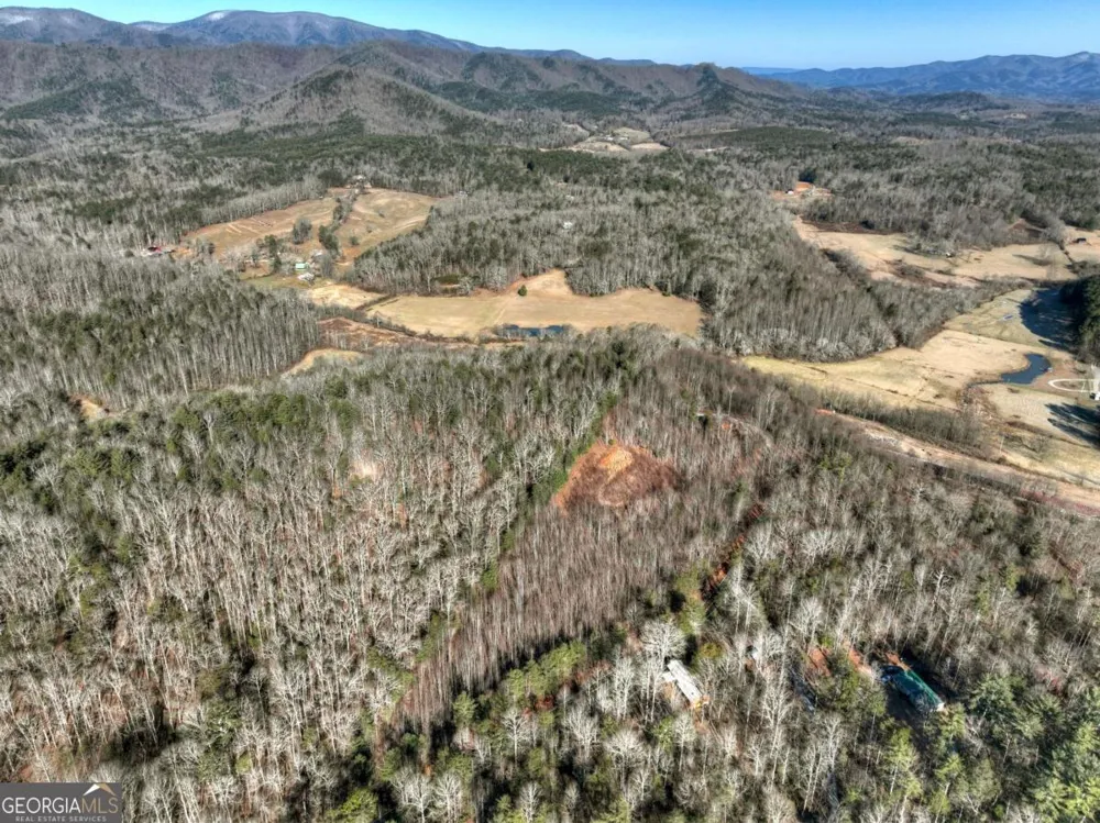 LT 131 & 132 Pack Creek RD Blue Ridge, GA 30513