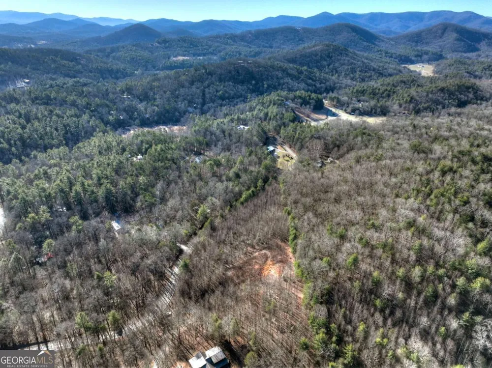 LT 131 & 132 Pack Creek RD Blue Ridge, GA 30513