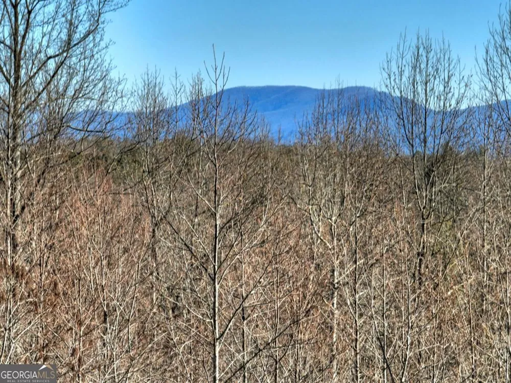LT 131 & 132 Pack Creek RD Blue Ridge, GA 30513