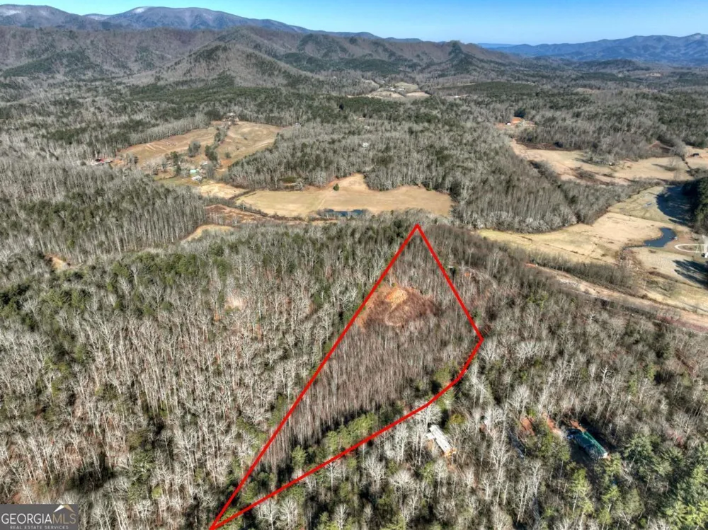 LT 131 & 132 Pack Creek RD Blue Ridge, GA 30513