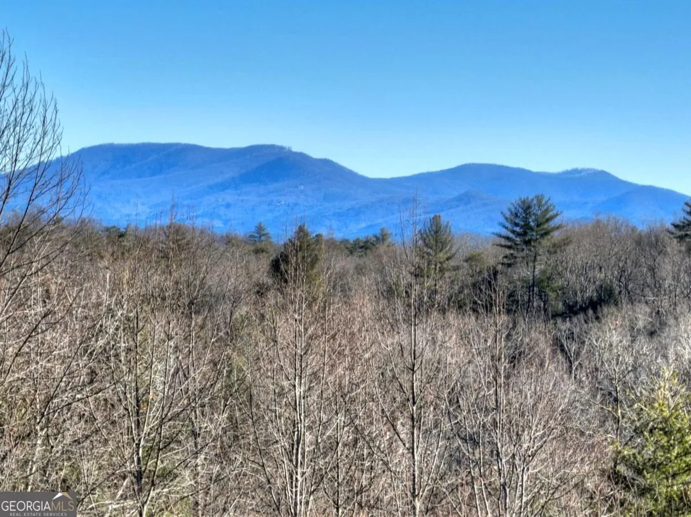 LT 131 & 132 Pack Creek RD Blue Ridge, GA 30513