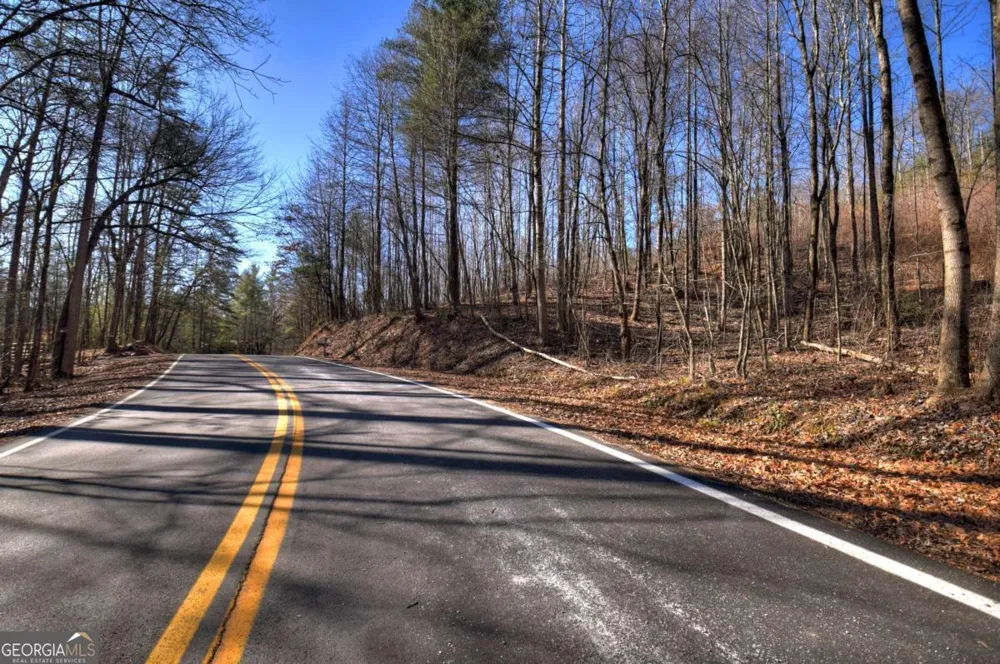 LT 131 & 132 Pack Creek RD Blue Ridge, GA 30513