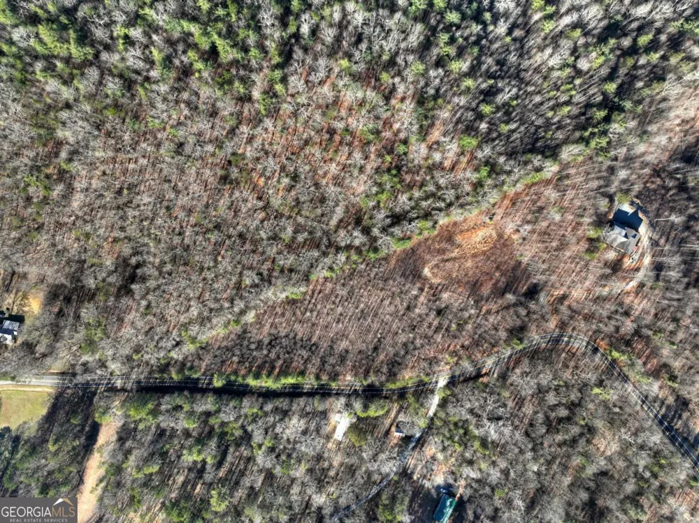 LT 131 & 132 Pack Creek RD Blue Ridge, GA 30513