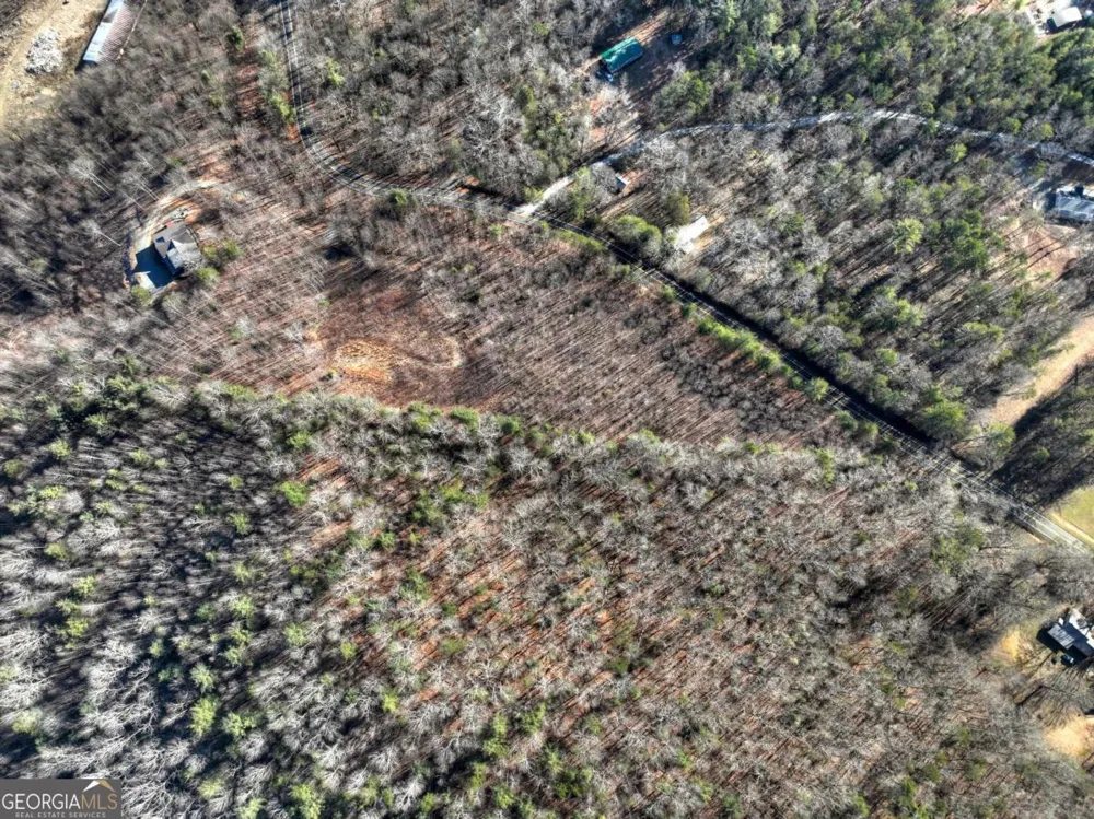 LT 131 & 132 Pack Creek RD Blue Ridge, GA 30513