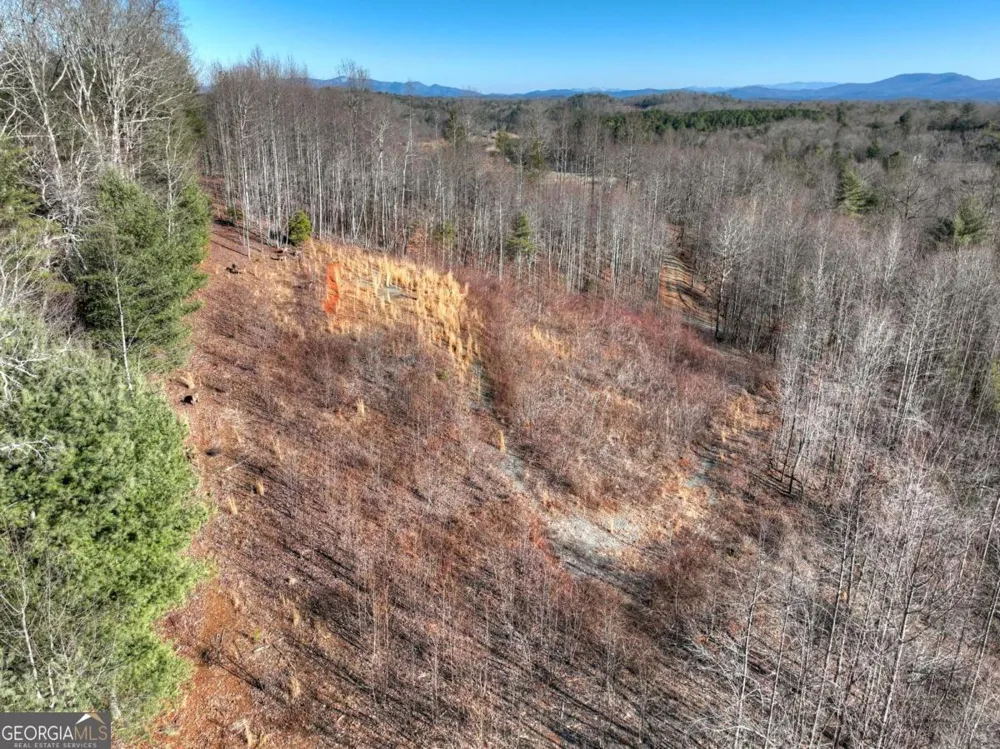 LT 131 & 132 Pack Creek RD Blue Ridge, GA 30513