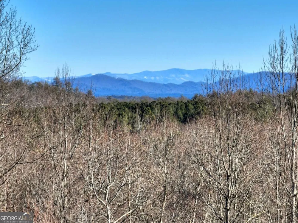 LT 131 & 132 Pack Creek RD Blue Ridge, GA 30513