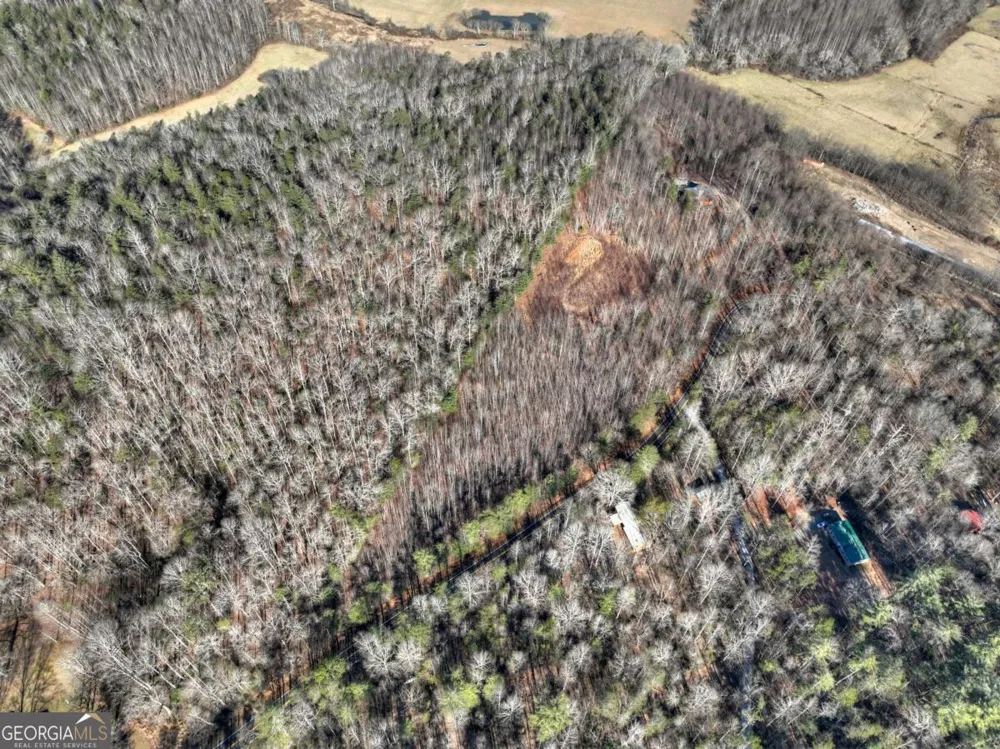 LT 131 & 132 Pack Creek RD Blue Ridge, GA 30513