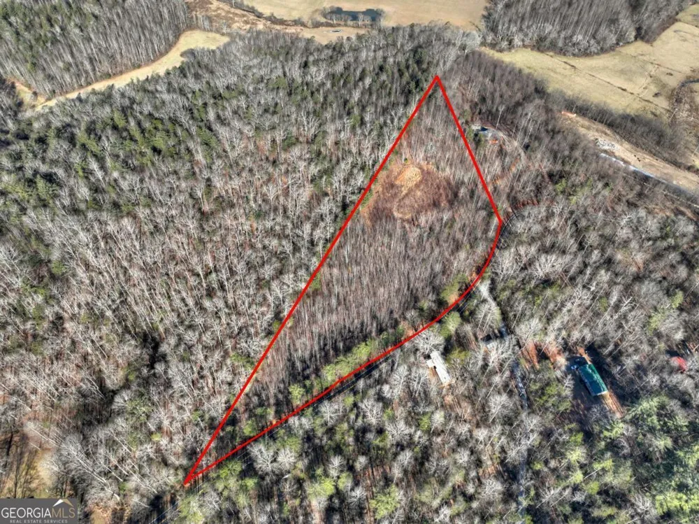 LT 131 & 132 Pack Creek RD Blue Ridge, GA 30513