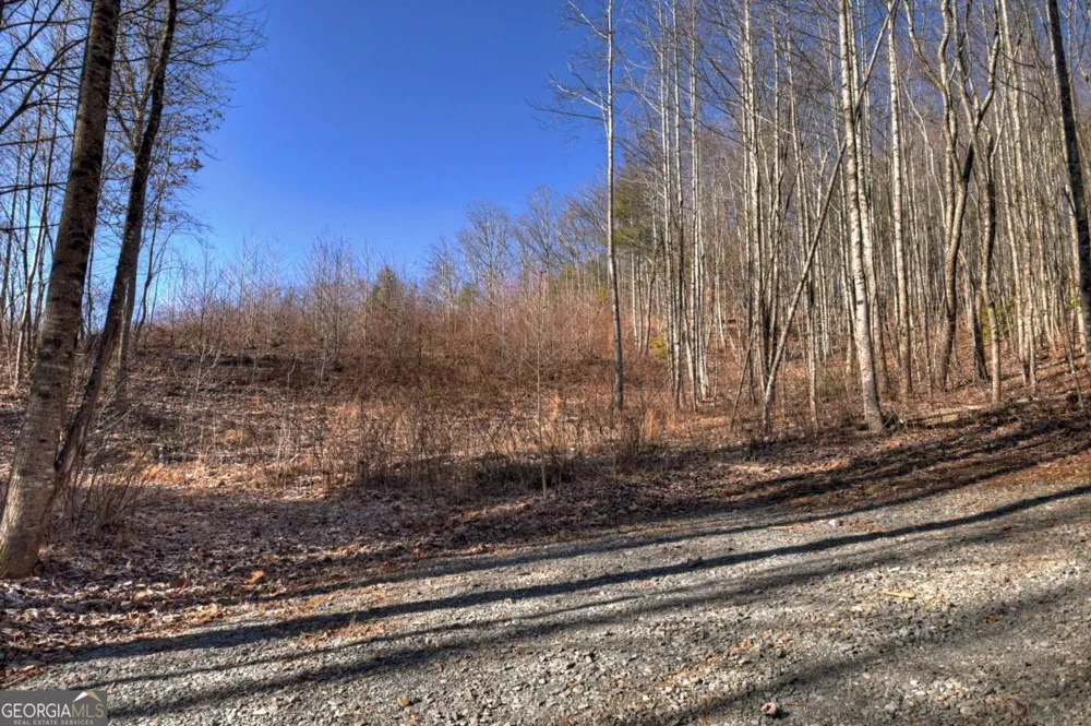 LT 131 & 132 Pack Creek RD Blue Ridge, GA 30513