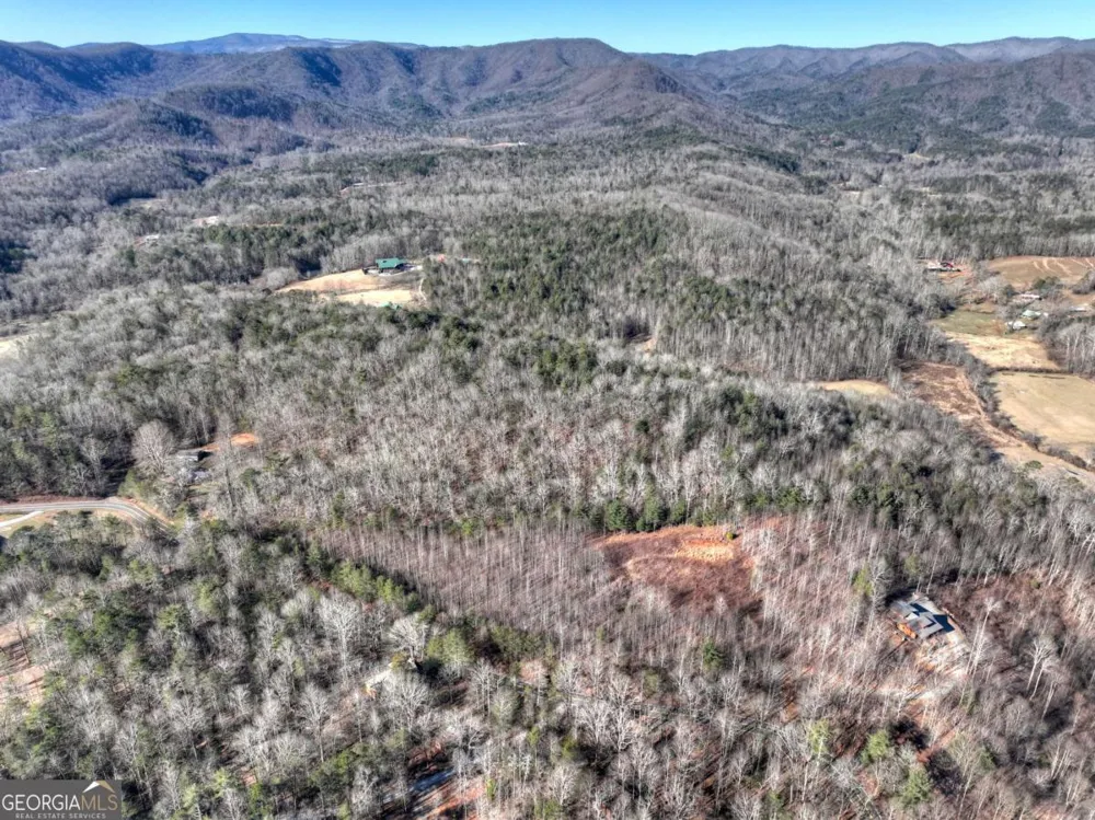 LT 131 & 132 Pack Creek RD Blue Ridge, GA 30513