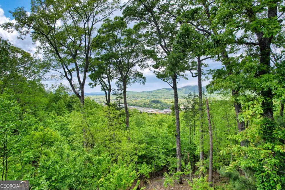 911 Summit WAY Blairsville, GA 30512