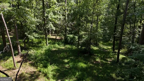 115-LOT 101/ PARCEL 2/ 5.82AC Shoal Creek DR
