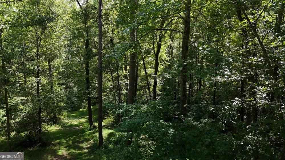 115-LOT 101/ PARCEL 2/ 5.82AC Shoal Creek DR Sharpsburg, GA 30277