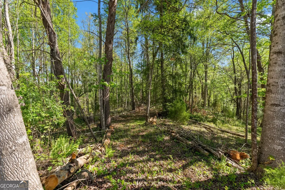 153 Trackrock Gap RD Blairsville, GA 30512