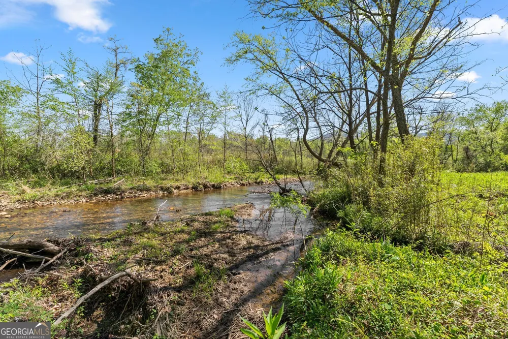 153 Trackrock Gap RD Blairsville, GA 30512