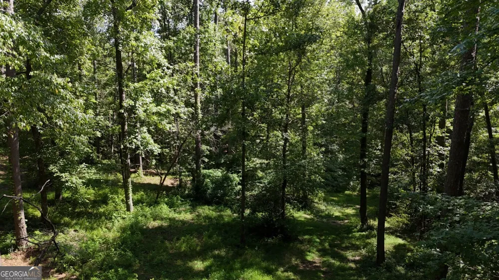 115-LOT 101/ PARCEL 3/ 5.15AC Shoal Creek DR Sharpsburg, GA 30277