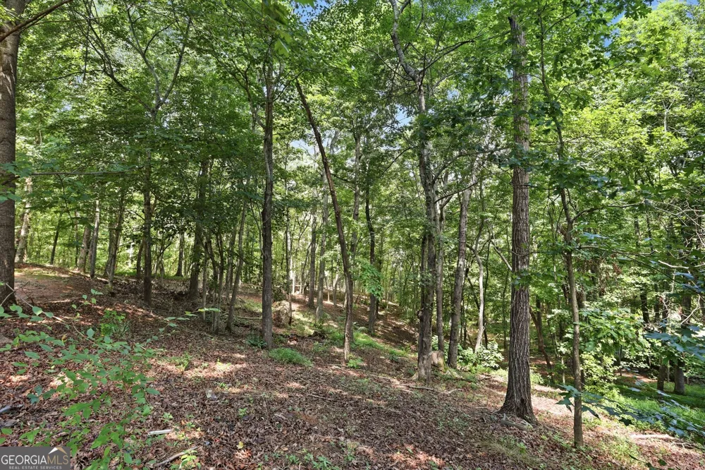 287 Laurel Place DR Cornelia, GA 30531