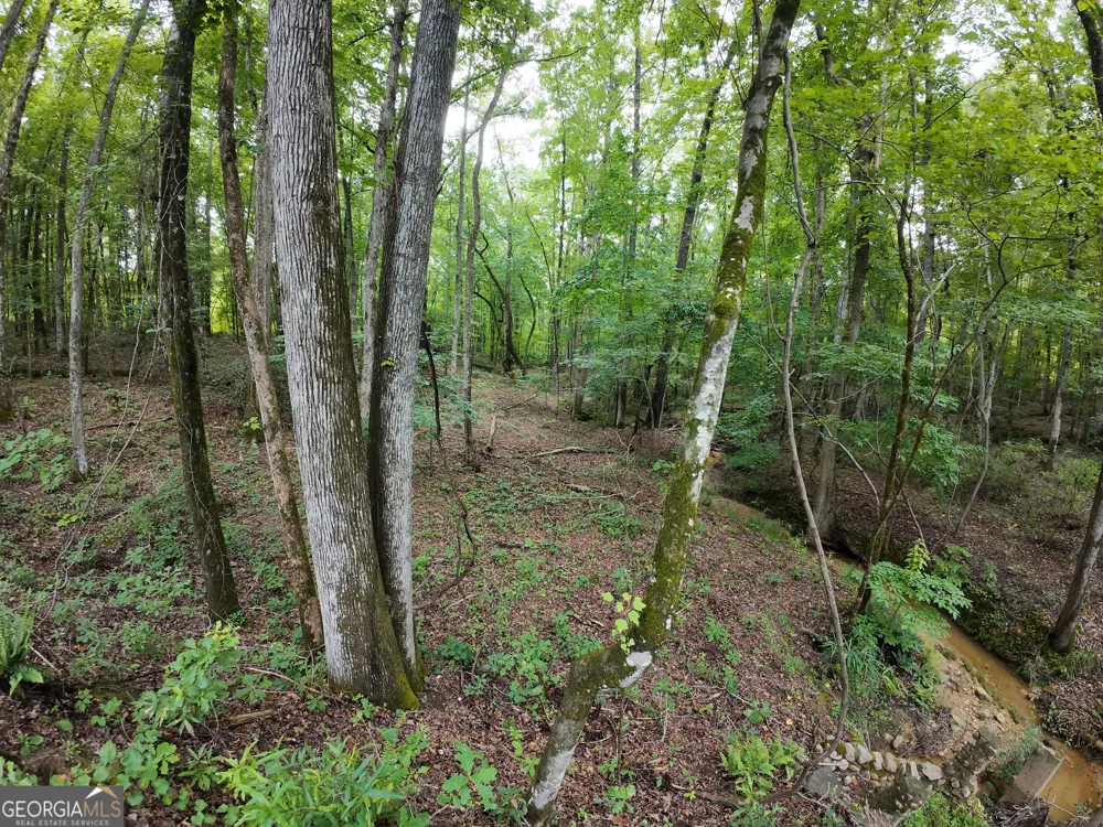 40 Fincher ST LaGrange, GA 30241