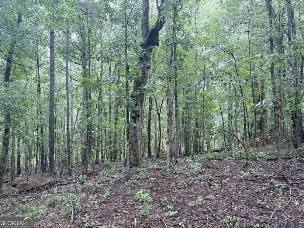 40 Fincher ST LaGrange, GA 30241