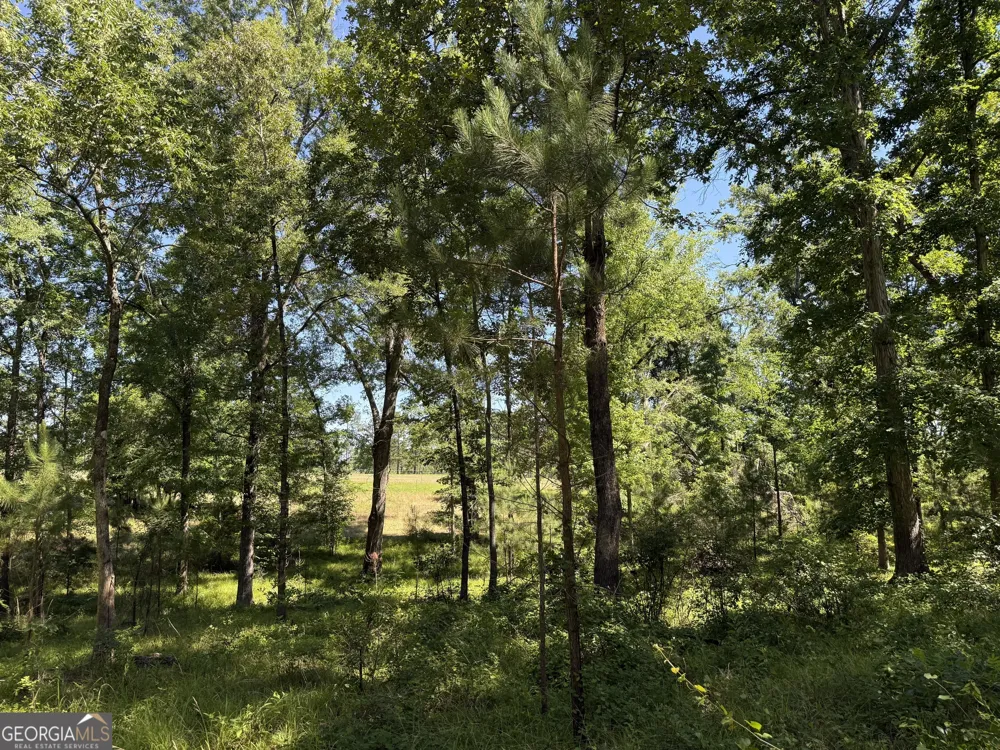 4979 Augusta HWY Lincolnton, GA 30817