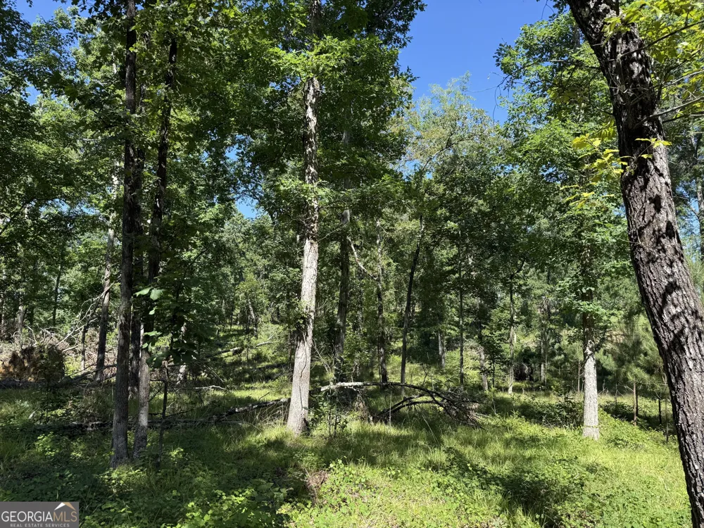 4979 Augusta HWY Lincolnton, GA 30817