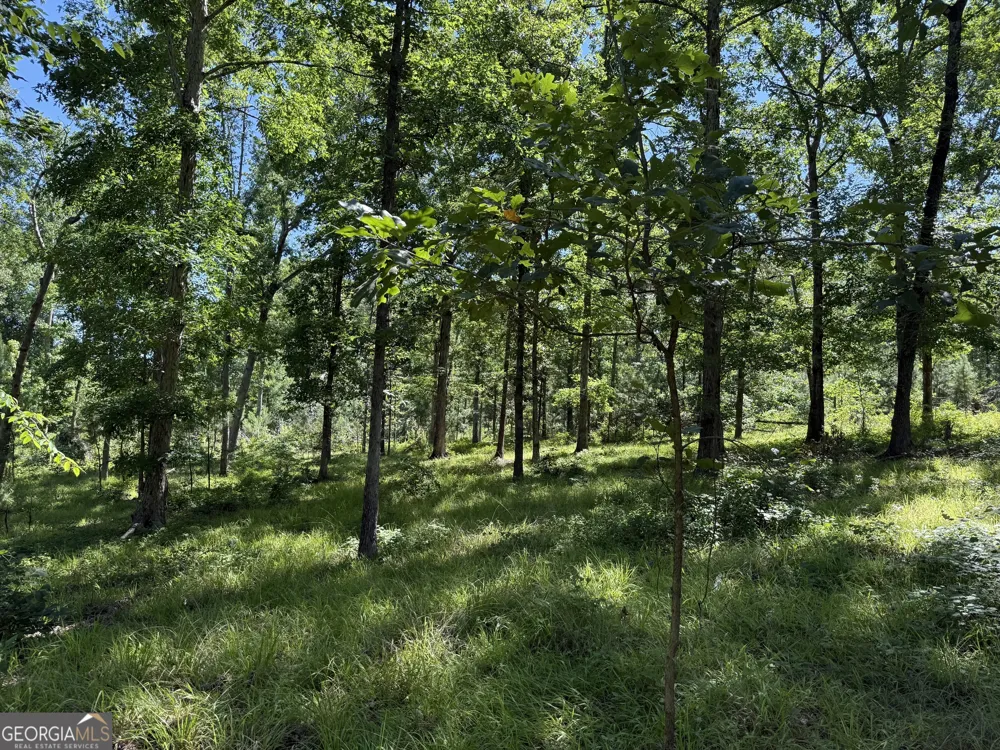 4979 Augusta HWY Lincolnton, GA 30817