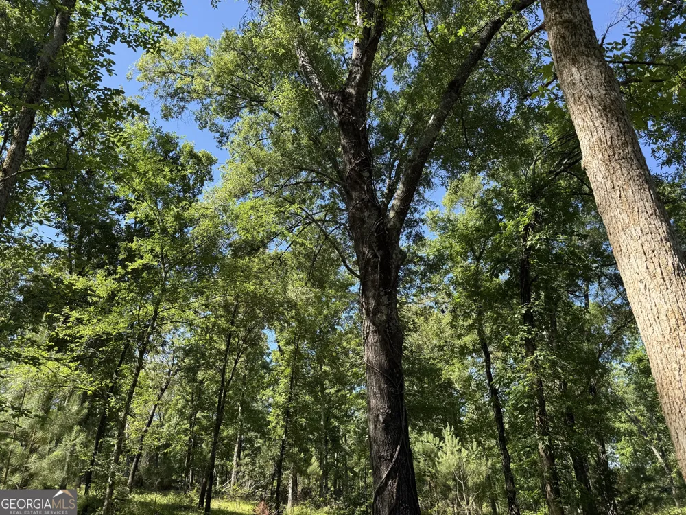 4979 Augusta HWY Lincolnton, GA 30817