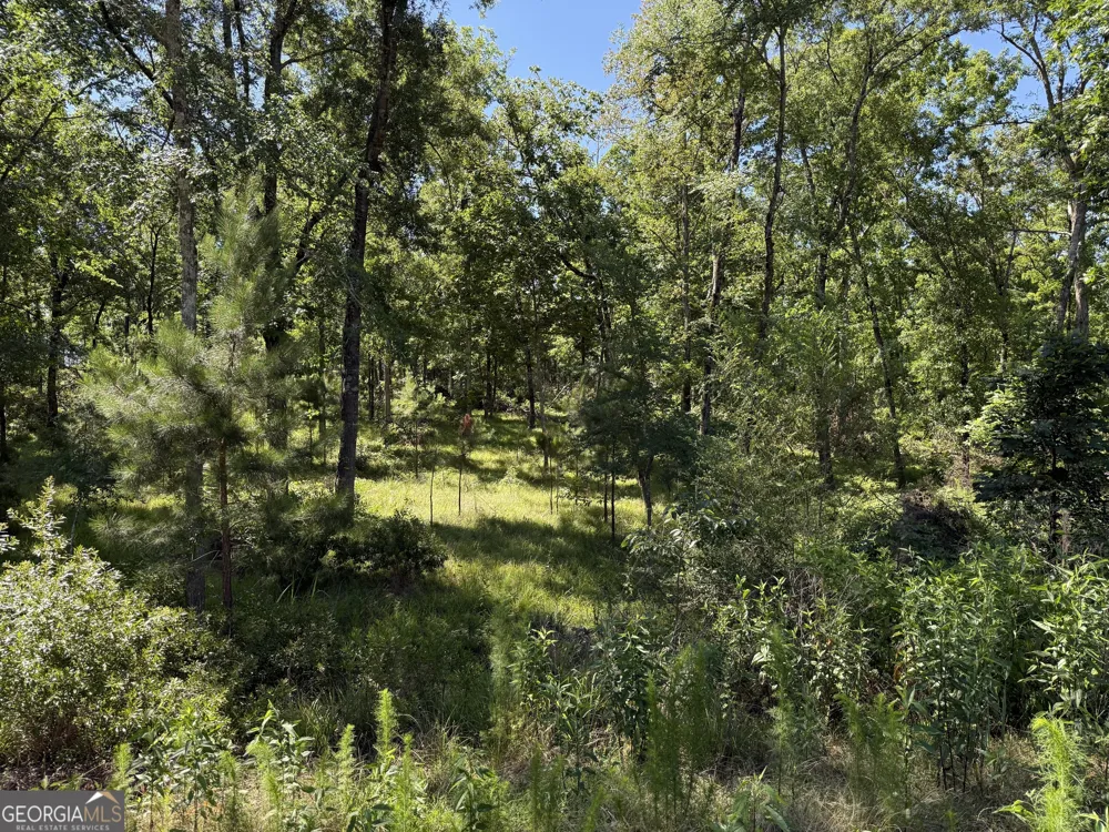 4979 Augusta HWY Lincolnton, GA 30817
