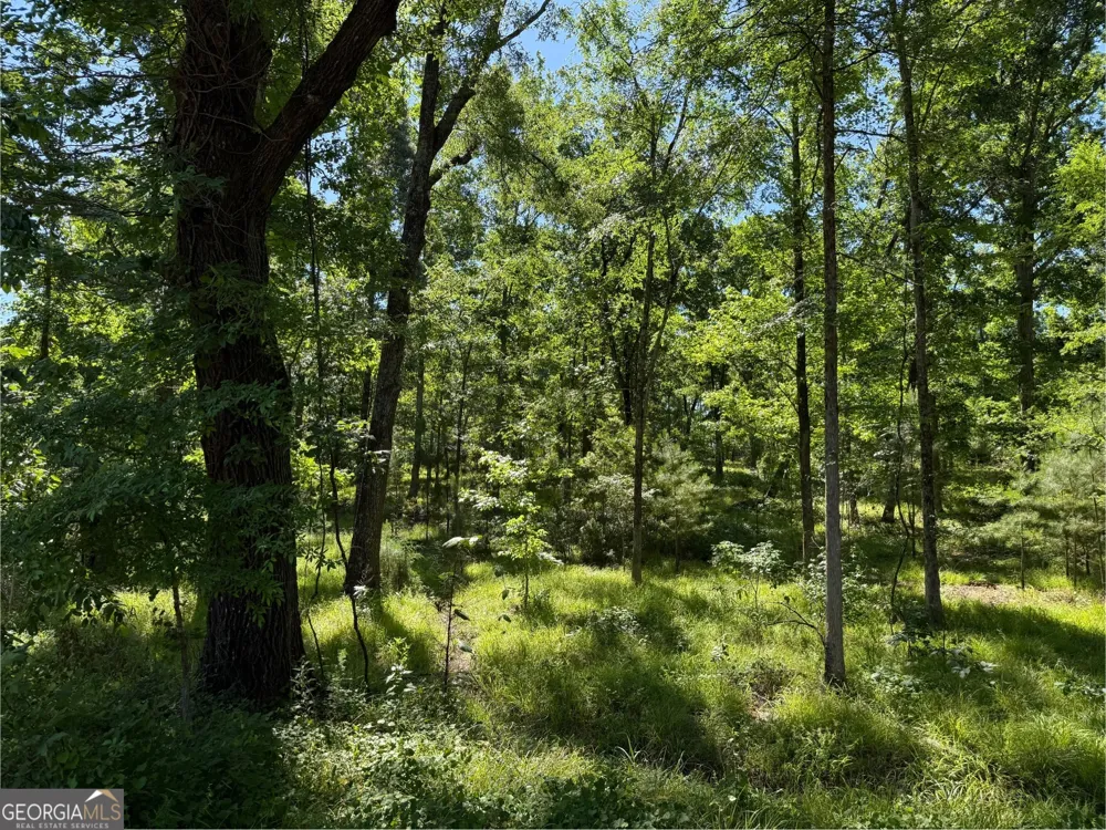 4979 Augusta HWY Lincolnton, GA 30817