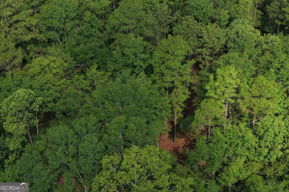 0 Sassertown RD Rocky Ford, GA 30455
