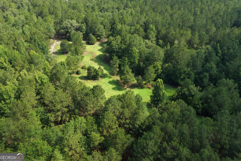 0 Sassertown RD Rocky Ford, GA 30455