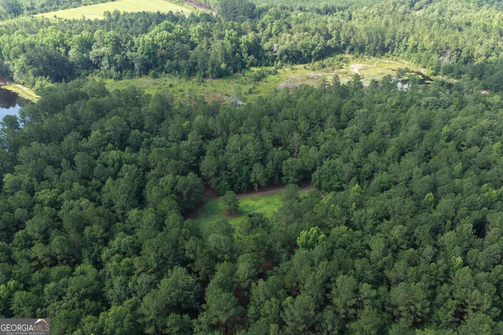 0 Sassertown RD Rocky Ford, GA 30455