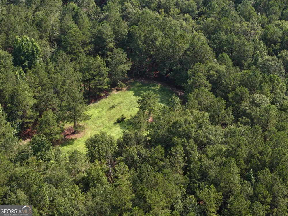 0 Sassertown RD Rocky Ford, GA 30455
