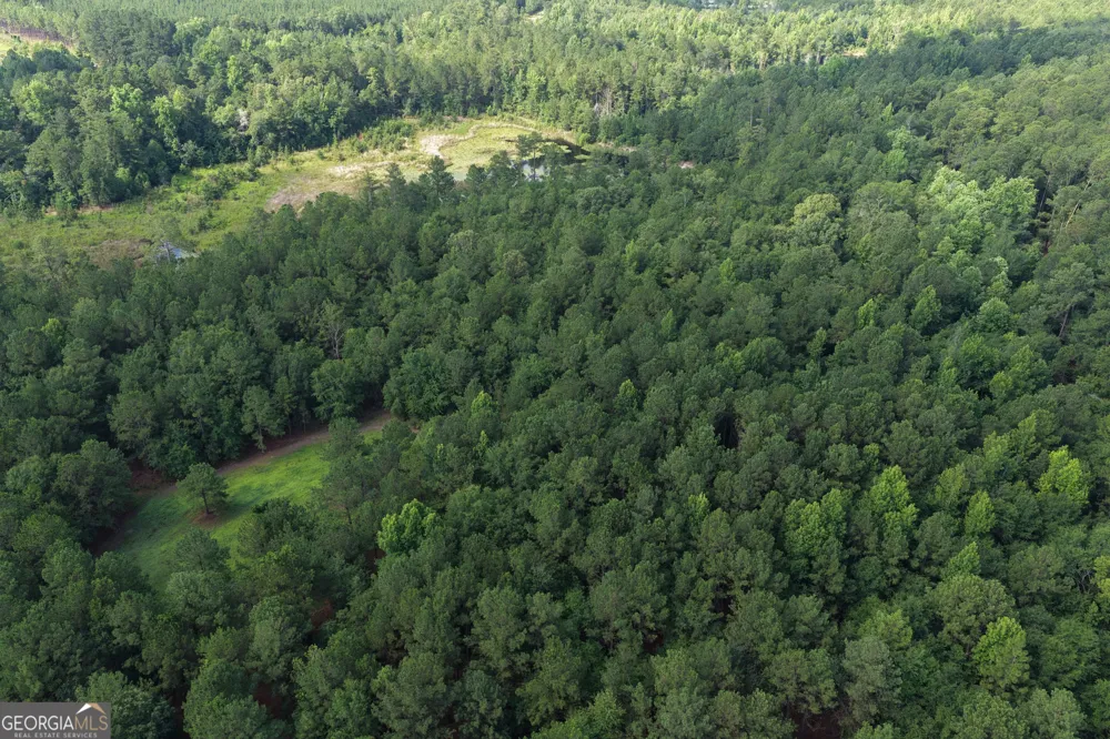 0 Sassertown RD Rocky Ford, GA 30455