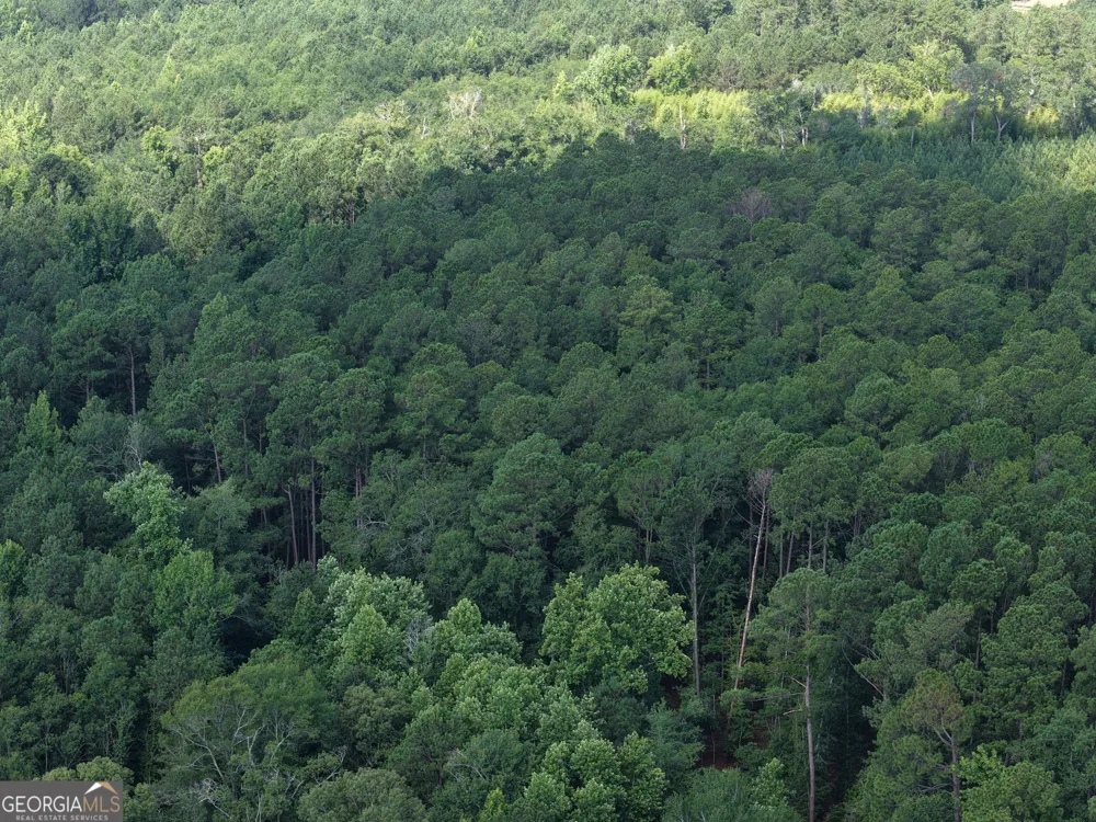 0 Sassertown RD Rocky Ford, GA 30455