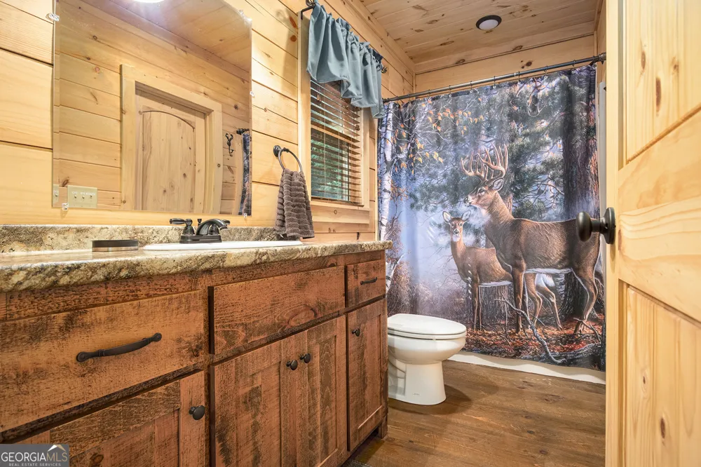 680 Hidden Lake DR Cherry Log, GA 30522